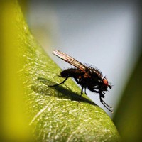 /album/mlmtrainingezine/photolia-a04-jpg/