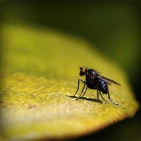/album/mlmtrainingezine/photolia-a07-jpg/